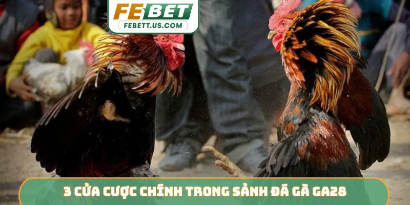 3 cửa cược chính trong sảnh đá gà GA28