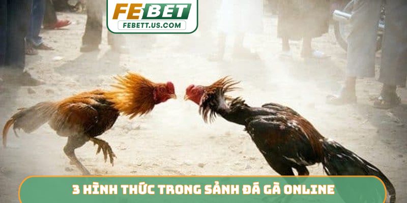 3 hình thức trong sảnh đá gà online