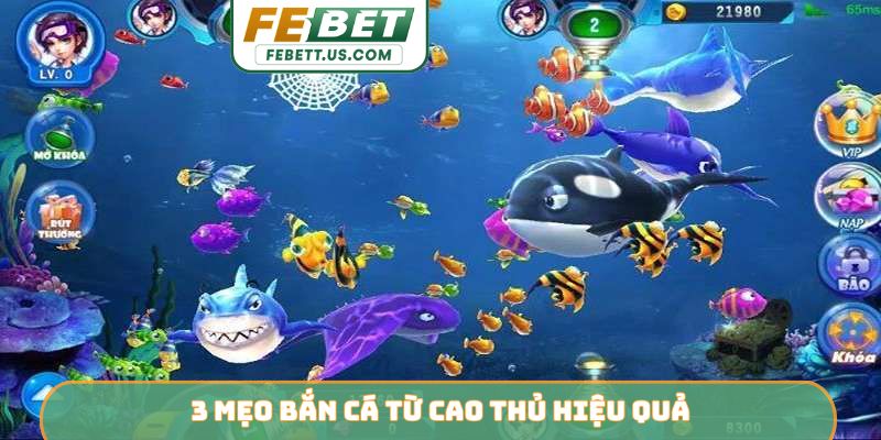 3 mẹo bắn cá từ cao thủ hiệu quả