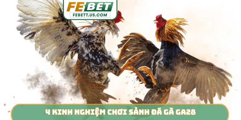 4 kinh nghiệm chơi sảnh đá gà GA28
