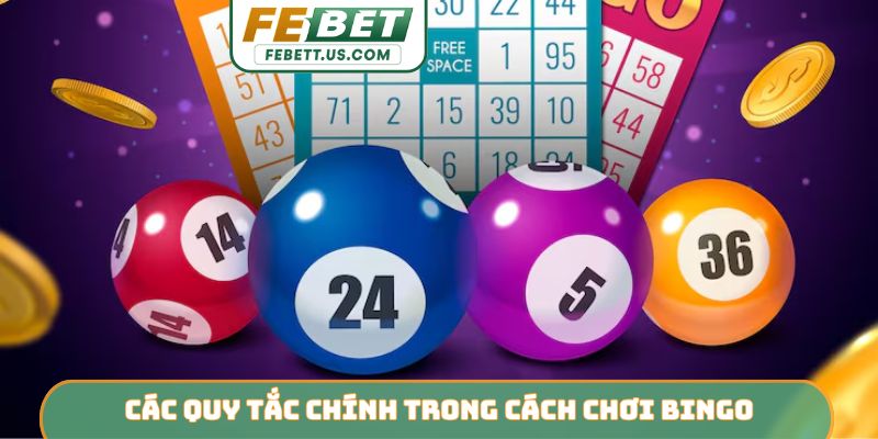 Các quy tắc chính trong cách chơi Bingo