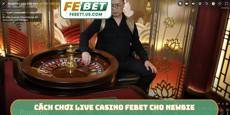 Cách chơi Live Casino Febet cho newbie