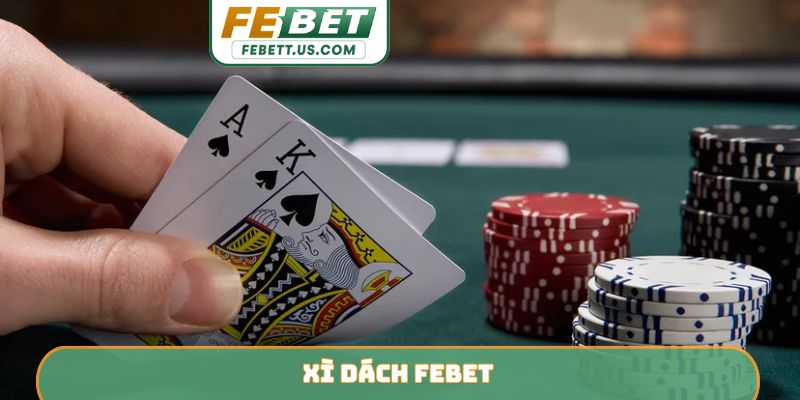 Xì dách febet