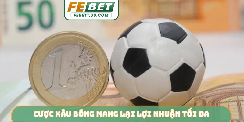 Cược xâu bóng mang lại lợi nhuận tối đa