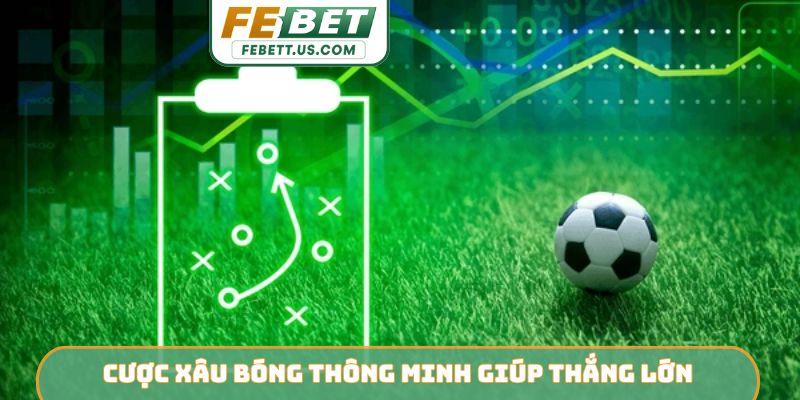 Cược xâu bóng thông minh giúp thắng lớn
