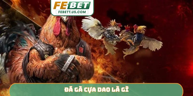 đá gà cựa dao