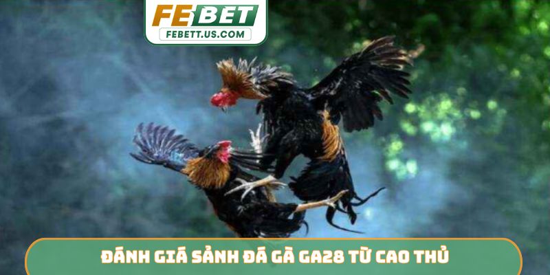 Đánh giá sảnh đá gà GA28 từ cao thủ