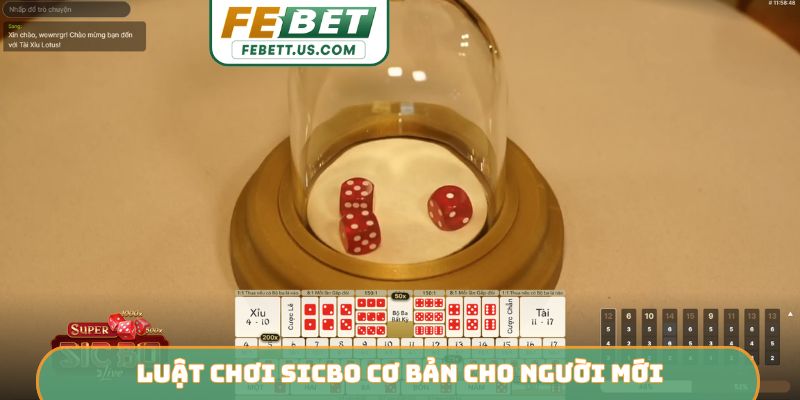 Luật chơi Sicbo cơ bản cho người mới