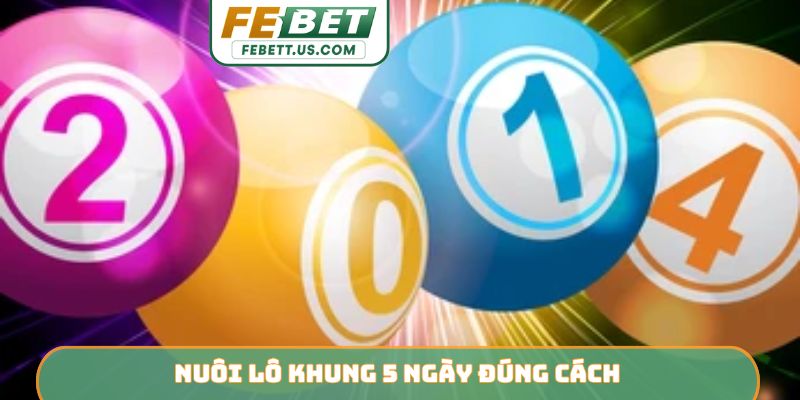 Nuôi lô khung 5 ngày đúng cách