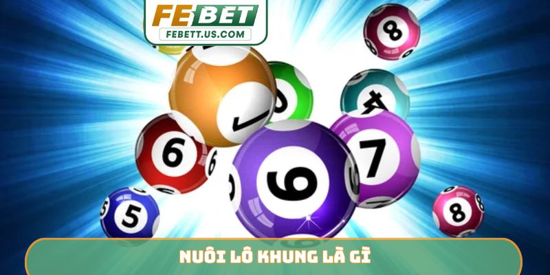 Nuôi lô khung là gì?