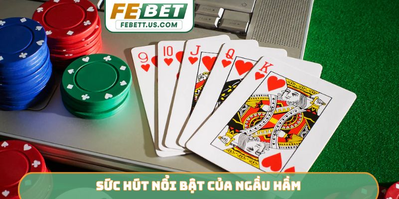 Sức hút nổi bật của ngầu hầm